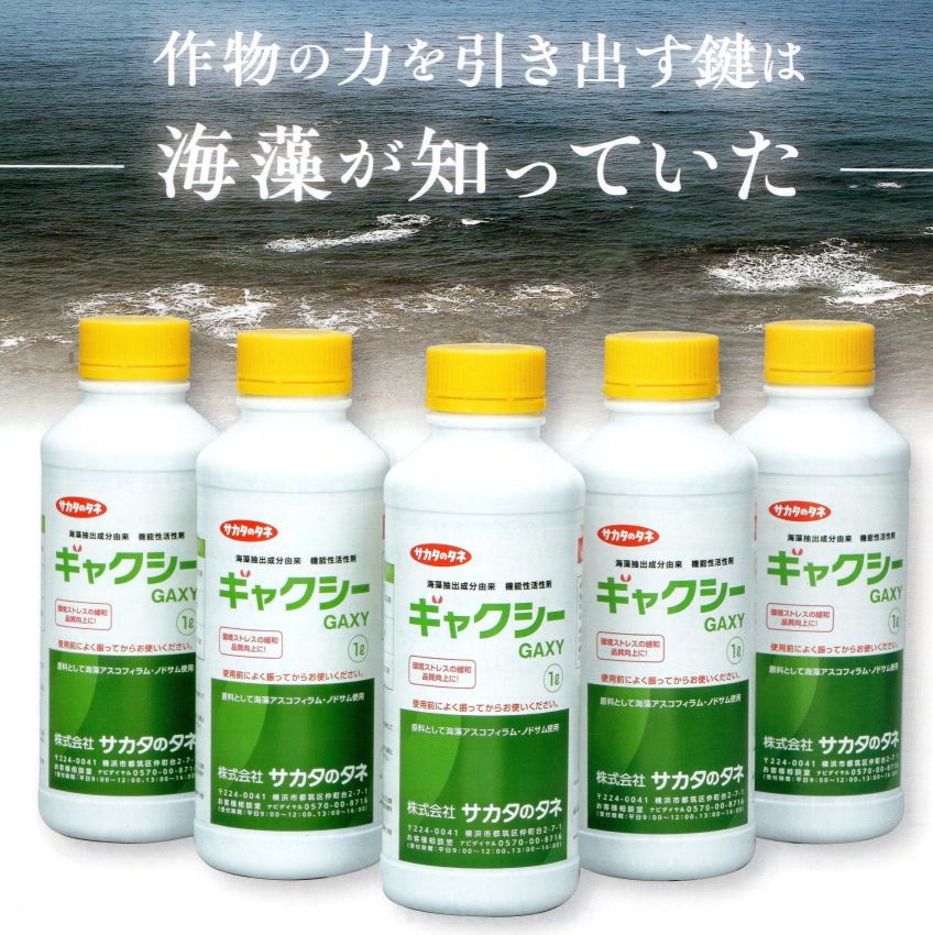 ギャクシー写真217